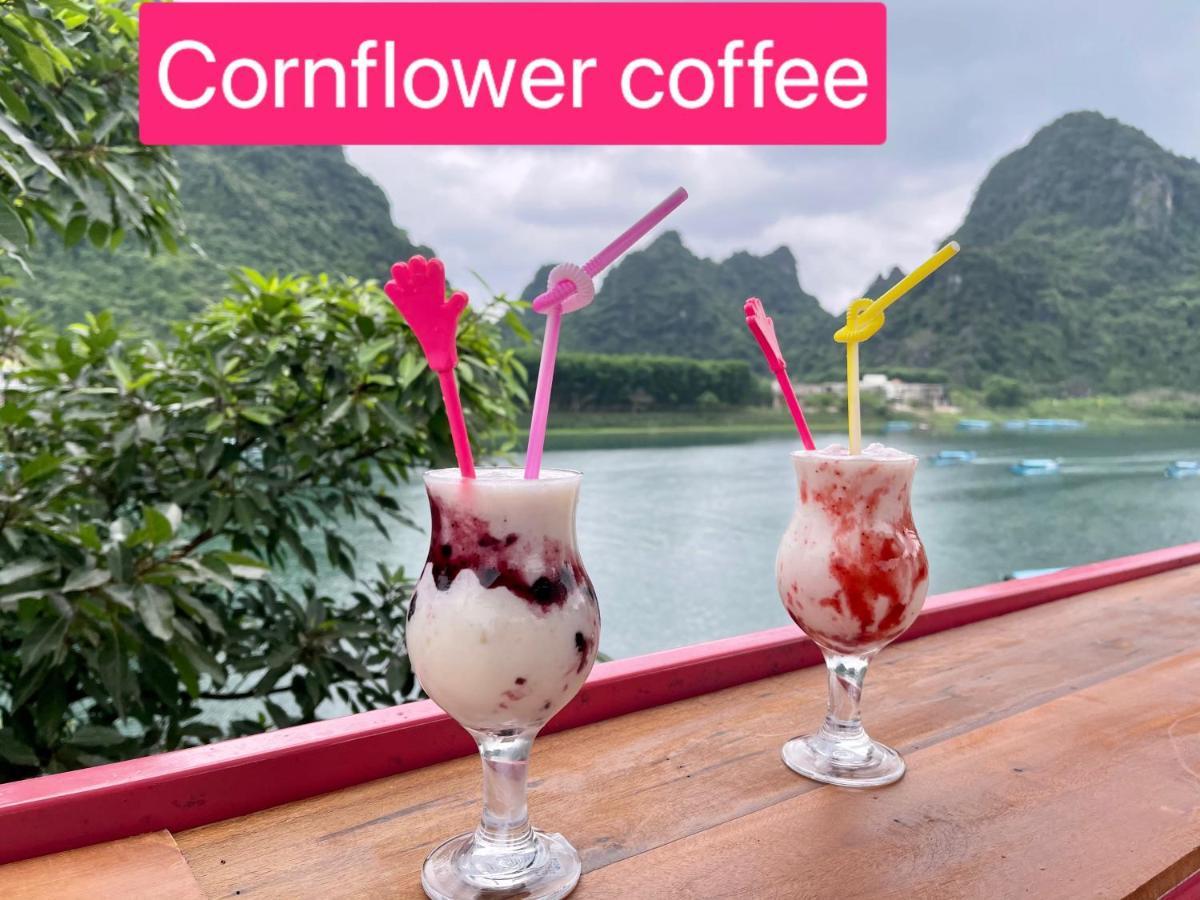 Cornflower Homestay Phong Nha Exterior foto